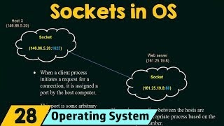 Sockets in Operating System [upl. by Ahtelat251]