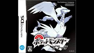 Pokémon Black and White  Lacunosa Town box [upl. by Luanne]