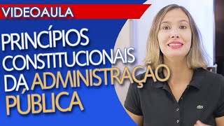 PRINCÍPIOS CONSTITUCIONAIS DA ADMINISTRAÇÃO PÚBLICA [upl. by Leahpar]