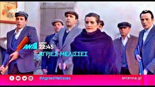 ΑΓΡΙΕΣ ΜΕΛΙΣΣΕΣ  ΕΠΕΙΣΟΔΙΟ 57 ΠΕΜΠΤΗ 1612020  TRAILER FULL HD [upl. by Einra]