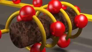 Inductors and Inductance [upl. by Lumpkin921]