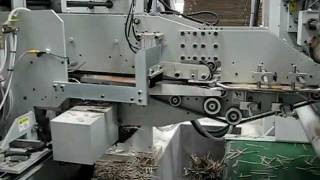 Flexo Folder Gluer MiniType Inline System [upl. by Evita]