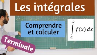 Les intégrales [upl. by Aihseit]