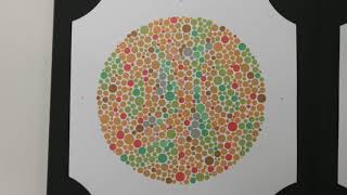 Video 6 The Ishihara Test for Colour Vision [upl. by Mandel]