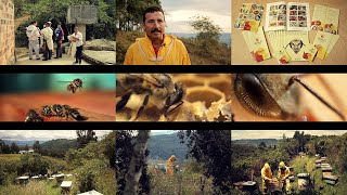 DOCUMENTAL Mejoramiento Genético de Abejas Apis Mellifera [upl. by Neenaej]