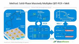 Multiplex PCR Assay Design Made Easy [upl. by Gorski]