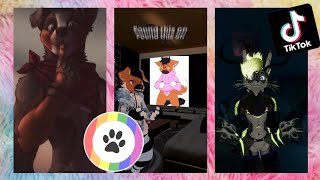 Furry TikToks Compilation 4 [upl. by Noit]