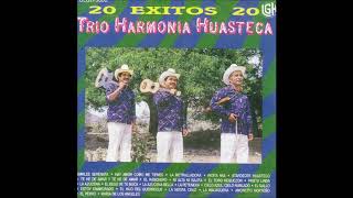 Trio Armonia Huasteca  20 Exitos Disco Completo [upl. by Nunci]