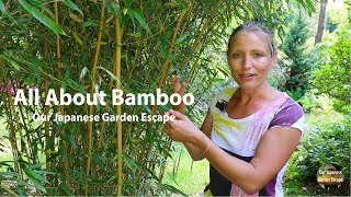 How to Grow Maintain and Control Bamboo  Our Japanese Garden Escape [upl. by Howund624]