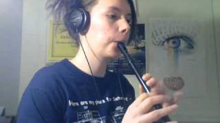 Traditional Irish Tin Whistle Songs [upl. by Hannala]