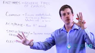 Types of Catalysis [upl. by Airegin]