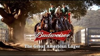 10 Famous Budweiser Super Bowl Commercials [upl. by Urson661]