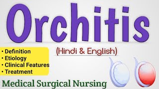 Orchitis  Orchitis In Hindi Medical Surgical Nursing [upl. by Acsisnarf634]