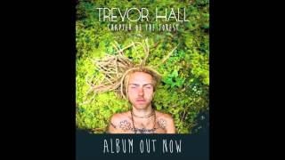 Trevor Hall  Green Mountain State With Lyrics [upl. by Tingey]