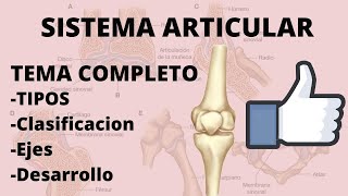 Biomecánica y Función del complejo articular de la Rodilla I [upl. by Llenoil]