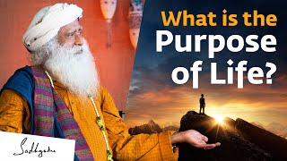 What is the Purpose of Life  Sadhguru [upl. by Kelley]