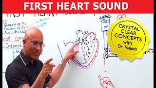 S1 Heart Sounds and Murmurs  First Heart Sound  Dr Najeeb🫀 [upl. by Haseefan]