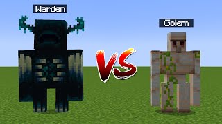 Warden vs Iron Golem [upl. by Latta411]