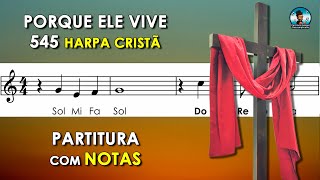 Porque Ele Vive  Partitura com Notas Flauta Doce Violino e Playback no Piano [upl. by Ragland]