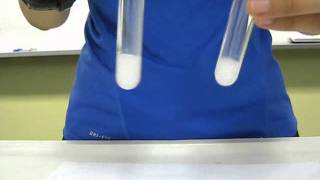 Chloride ion test [upl. by Lakin]