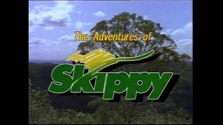 The adventures of Skippy  intro HD [upl. by Antonetta]