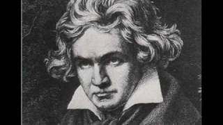 Ludwig van Beethoven  Funeral March Part 1 [upl. by Fonville349]