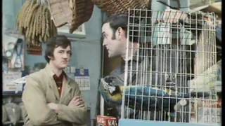 Monty Python The Parrot Sketch amp The Lumberjack Song movie versions HQ [upl. by Leahpar]