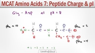 How to Calculate Peptide Charge and Isoelectric Point MCAT Trick [upl. by Lenahtan]