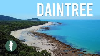 Daintree Rainforest Tropical North Queensland Australia Nature [upl. by Dleifyar626]