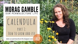 Calendula Part 1 How to Grow and Use [upl. by Gustafson109]