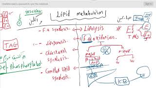 Lipid metabolism  Lec1  introduction [upl. by Berkley]