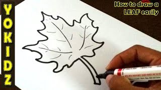 How to draw a LEAF easily [upl. by Ika]