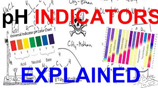 pH Indicators Explained [upl. by Morgen]