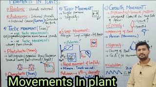 Movements in plants  autonomic movements  Tactic turgor and growth movements  biology class 12 [upl. by Esille]