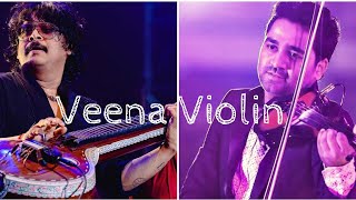 Veena Violin Duo  Rajhesh Vaidhya amp Abhijith PS Nair [upl. by Eceinahs641]