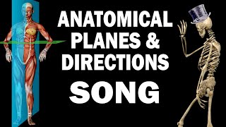 ANATOMICAL PLANES AND DIRECTIONS SONG [upl. by Duwad]