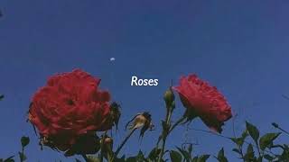 Roses  1 hour juice wrld [upl. by Neilson153]