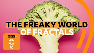 How fractals can help you understand the universe  BBC Ideas [upl. by Nadine989]