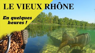 Le vieux Rhône  une sauvagerie [upl. by Call]