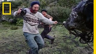 Capturing the Rugged Lives of Patagonias Gauchos [upl. by Eniluap368]