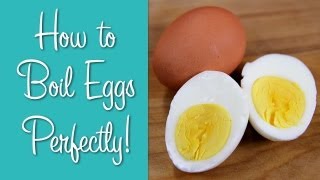 How To Boil Eggs  Perfect Hard Boiled Eggs  Hilah Cooking [upl. by Natsreik998]