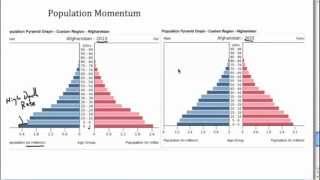 Population Pyramids 31 [upl. by Geoffry]