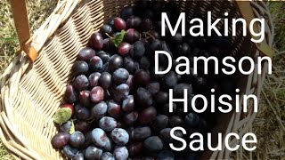 Making Damson Hoisin Sauce [upl. by Anim]