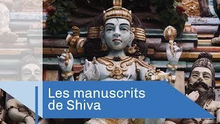 Les mystérieux manuscrits de Shiva  Reportage CNRS [upl. by Laved57]