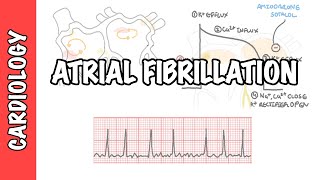 ECG Rhythm Review SVT Atrial Fibrillation Atrial Flutter [upl. by Nylicaj]