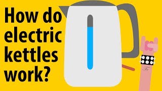 How do electric kettles work  Kitchen Appliance Explained [upl. by Ymmac]