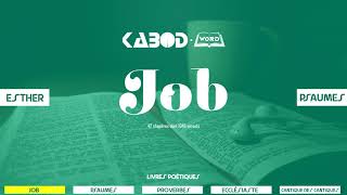 « Job »  LAncien Testament  La Sainte Bible audio VF Complète [upl. by Hannavahs]