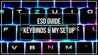 ESO Guide  Keybinds amp My Setup [upl. by Llertnad]