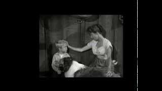 Lassie  Episode 117  Timmys Family  Season 4 Ep 14 [upl. by Tonye]