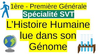 Lhistoire humaine lue dans son génome  Spécialité SVT 1ere [upl. by Meneau]